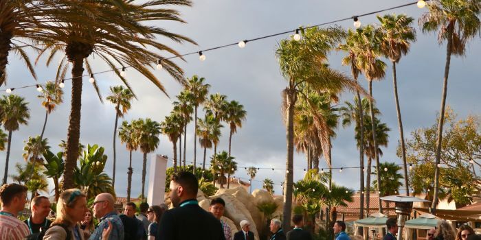 "attendees networking under palm trees at ascend 2024, with string lights creating a festive atmosphere at mission bay resort. "