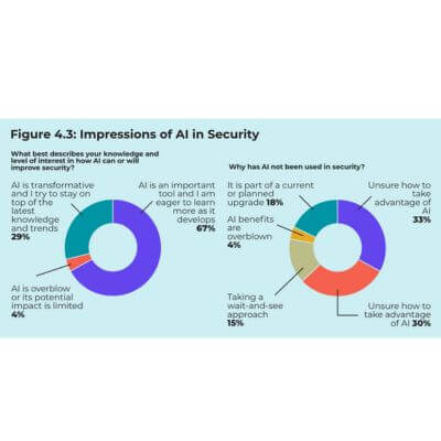 Perception of AI use in security