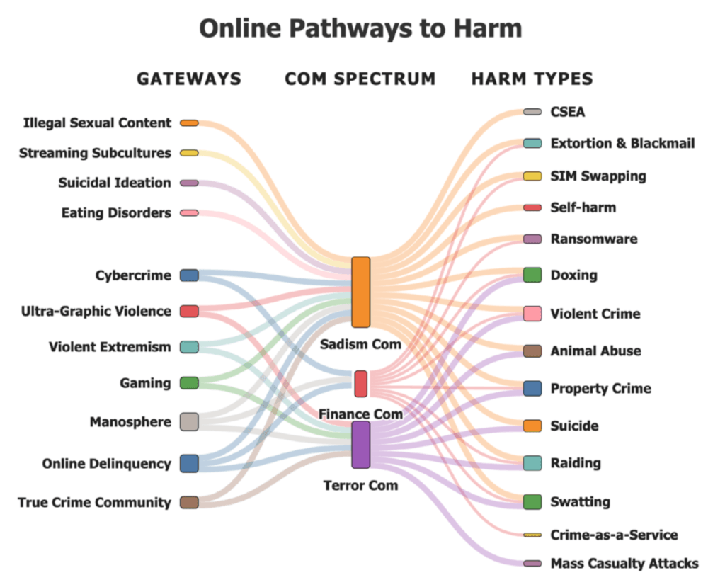 Diagram showing how gateway communities such as gaming, the manosphere, and streaming subcultures connect through shared ecosystems into multiple harm types, with the sadism-focused network having the most entry points and widest impact