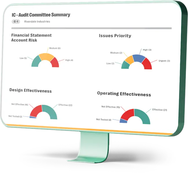 Manage Issues and Actions Plans